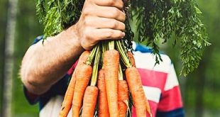 مصرف هویج برای سلامت چشم