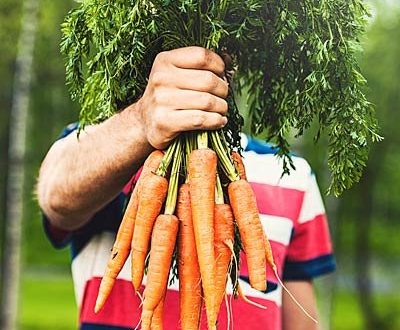 مصرف هویج برای سلامت چشم